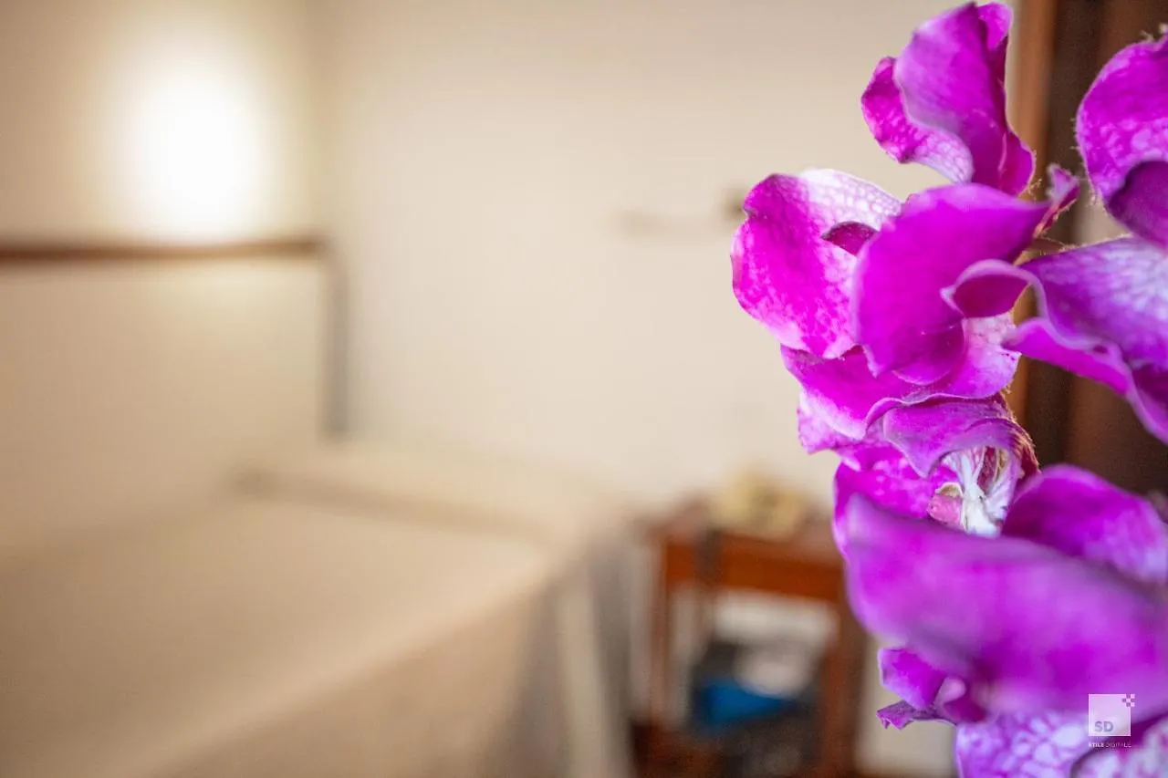 ***  Hotel Blumen Collection By Gsa Hotels Bologna Italy